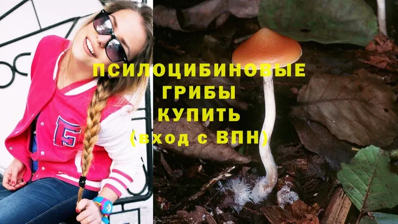 купить  сайты  Сыктывкар  Псилоцибиновые грибы Psilocybine cubensis 